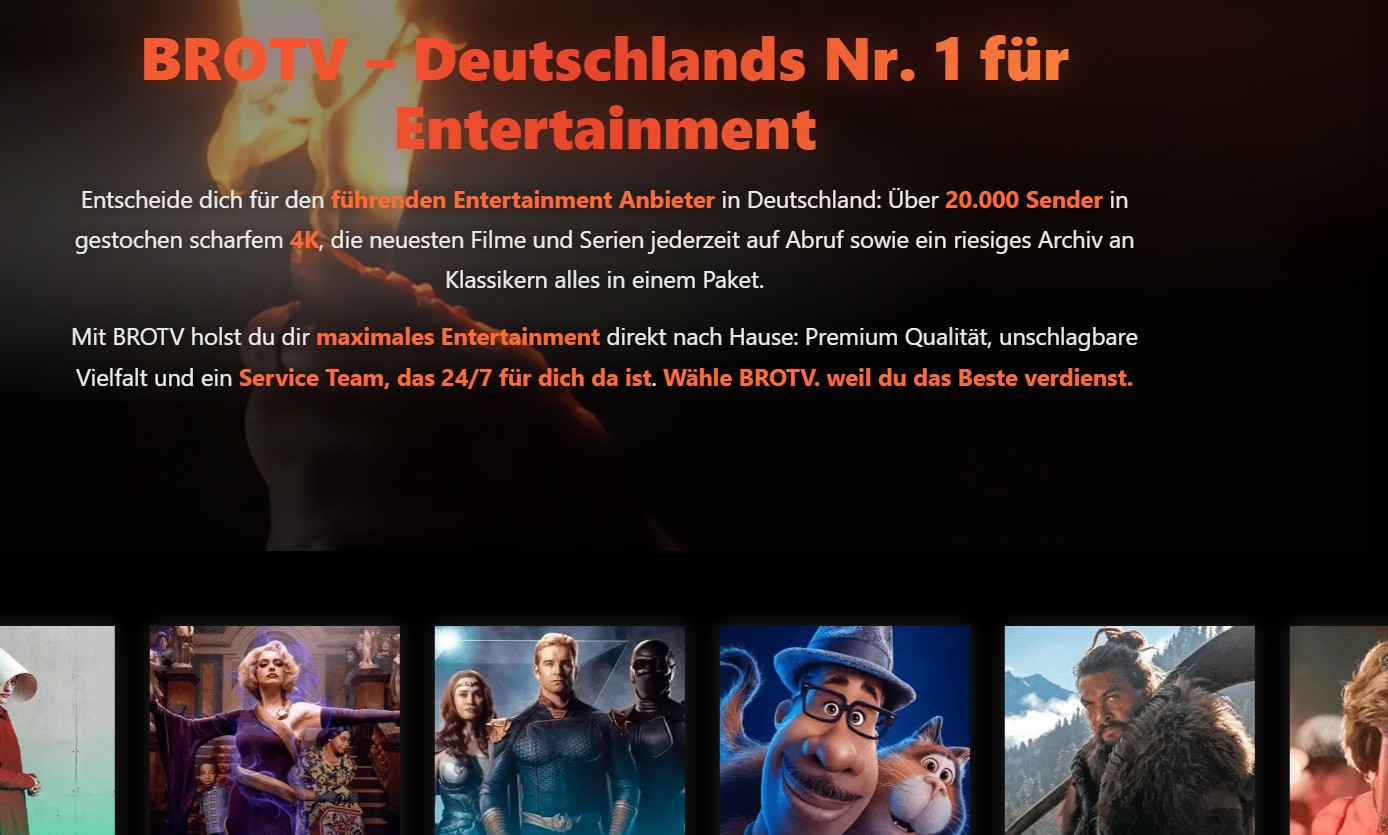 Portfolio Online Shop Referenz Contentbereich