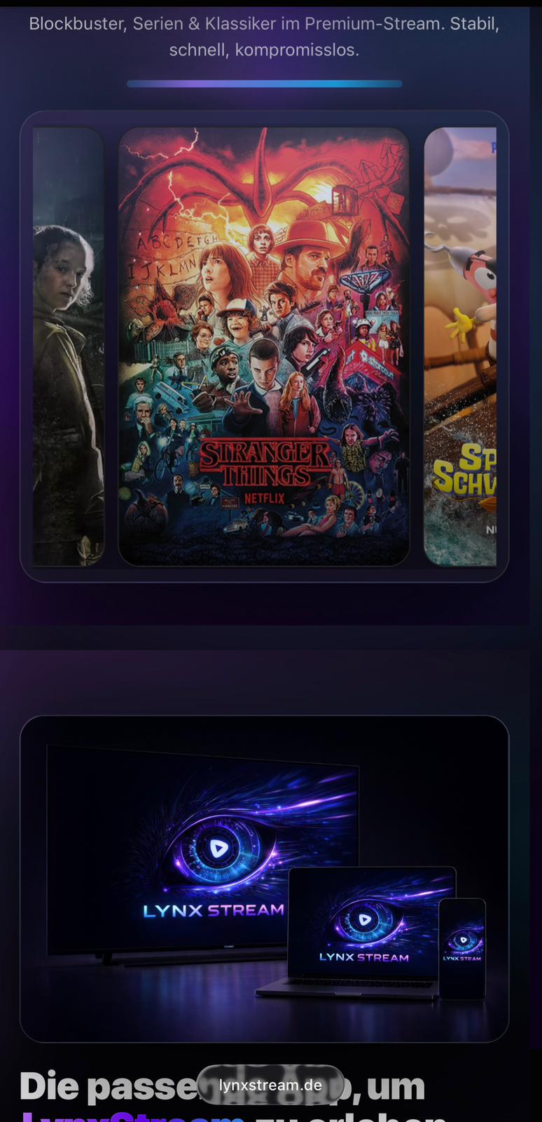 Visario Shop Projekt